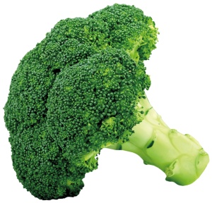Broccoli_PNG_Picture